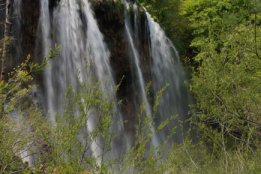 DSC2 (101).jpg